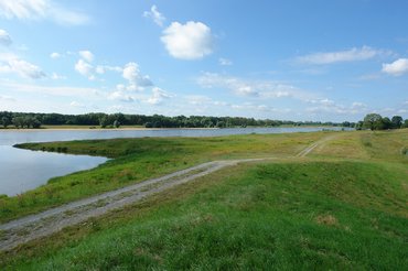 Bild von der Elbe und dem Deich mit Radweg