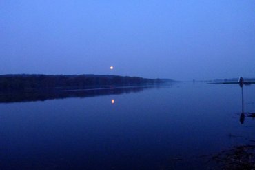 Bild der Elbe bei Nacht